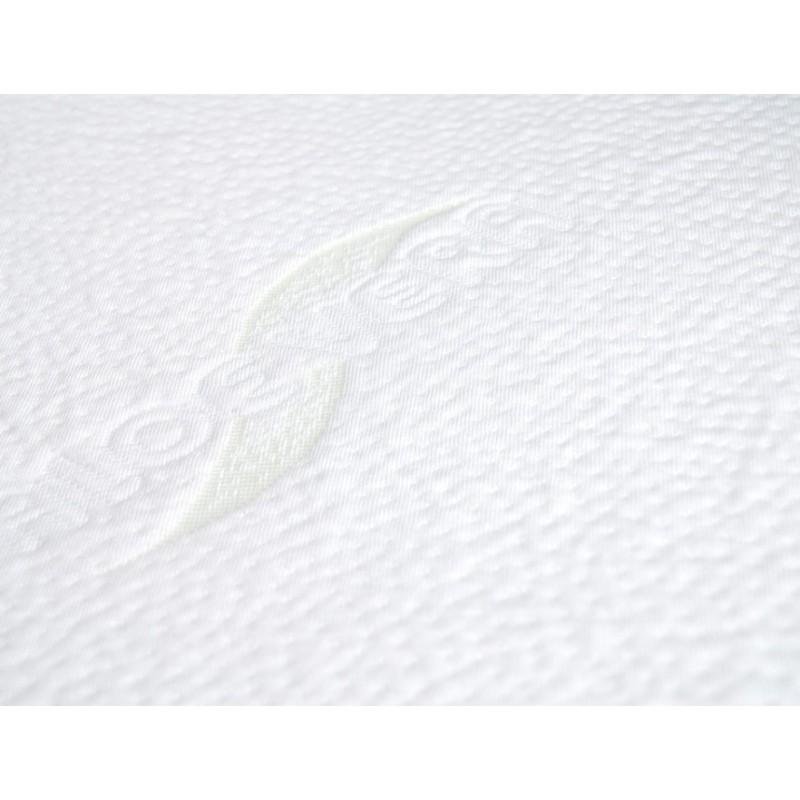 Frankhauer Aloe Vera Cover