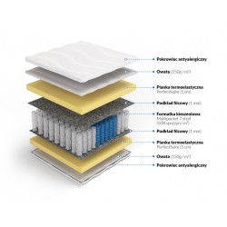 Frankhauer Multipocket memory Perseusz