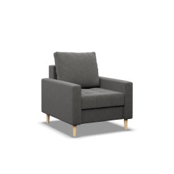ELMA Armchair, Filling - Spring, Color - DARK GRAY