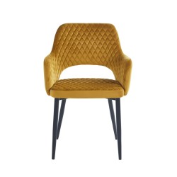 Silla de terciopelo (curry)