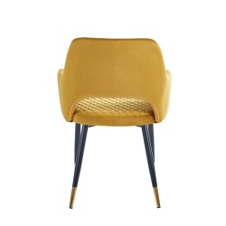 Silla de terciopelo (curry)