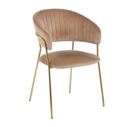 Velvet chair (cappuccino)