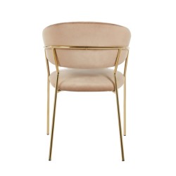 Velvet chair (cappuccino)