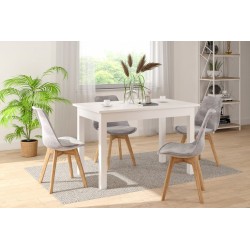 Mesa extensible (blanca) 120(160)x70