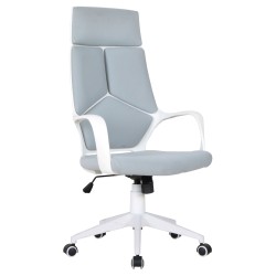 Office chair (gray)