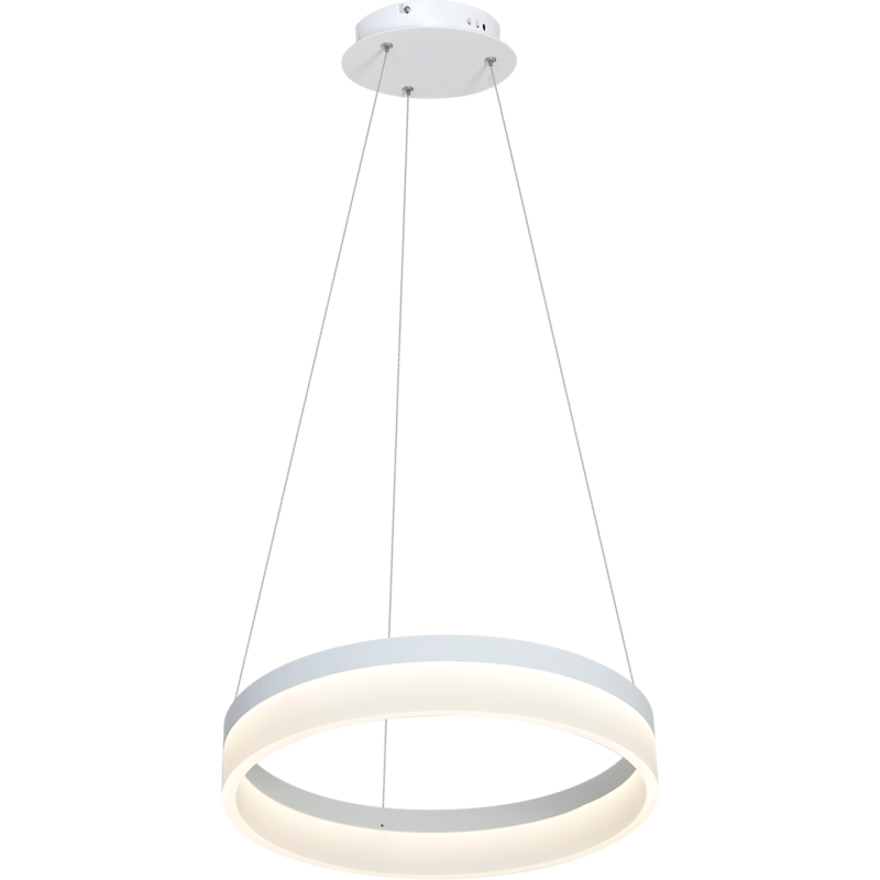 HANGING LAMP RING 24W LED