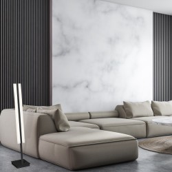 RAY 36W LED FLOOR LAMP