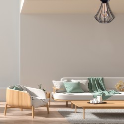 Lámpara de techo WILL BLACK 1xE27