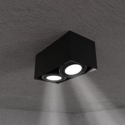 Surface Mounted Fixture Plaza 2xGU10 AR111 Black