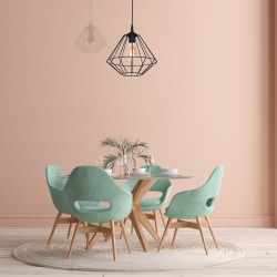 Lámpara colgante COLIN BLACK 1xE27