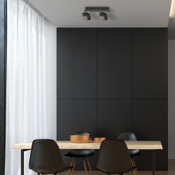 LOGAN Ceiling Lamp 2xE14