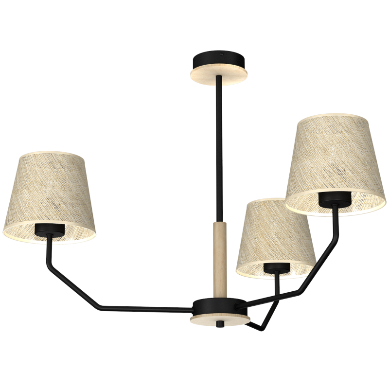 Lámpara colgante ETNA Black 3xE27