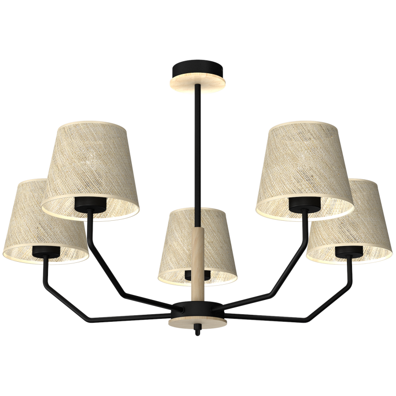 ETNA Black Pendant Lamp 5xE27