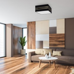 Ceiling lamp Square ULTIMO BLACK 2xE27