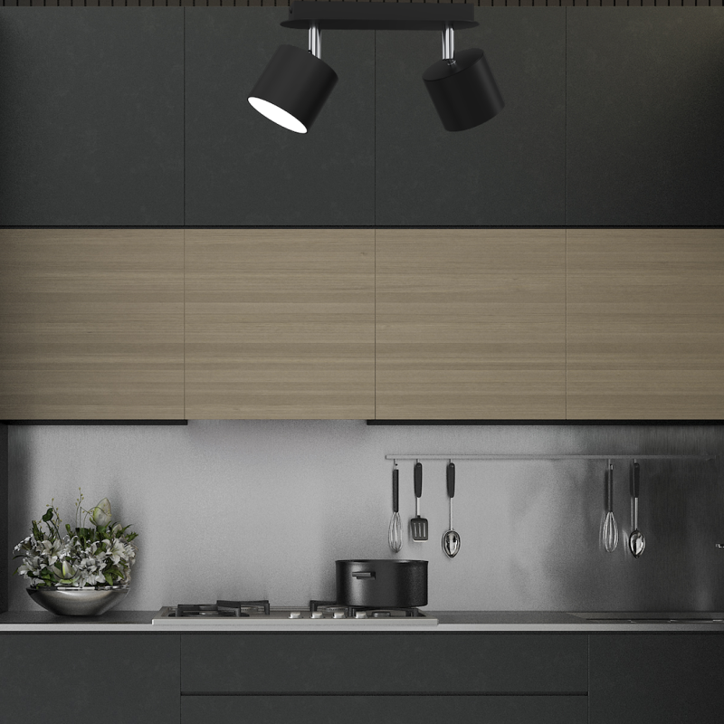 Deckenleuchte DIXIE BLACK 2xGX53