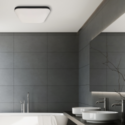 NEMO BLACK 17W LED Ceiling Light