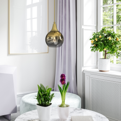 MONTE GOLD hanging lamp fi 150 1xE27