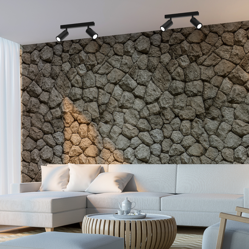 Lámpara de techo HUDSON BLACK 2xGU10