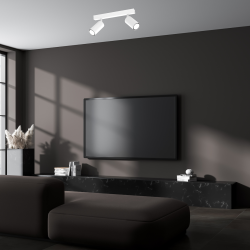 Lampa sufitowa Hudson 2xGU10 Biały