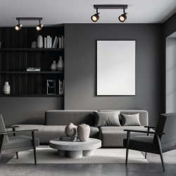 Lámpara de Techo Cino 2xGU10 Negro + Cromo