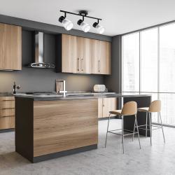 Lámpara de techo BEST BLACK 3xE14