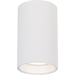 Genesis Spot 1xGU10 10cm Biały