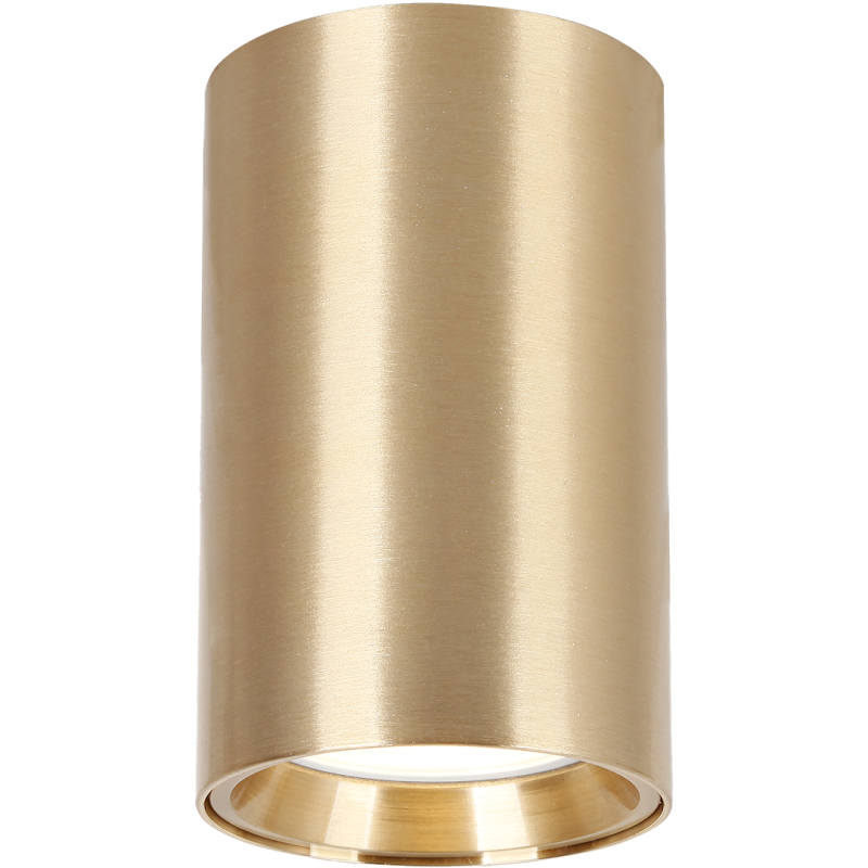 GENESIS SPOT GOLD 1xGU10 10см