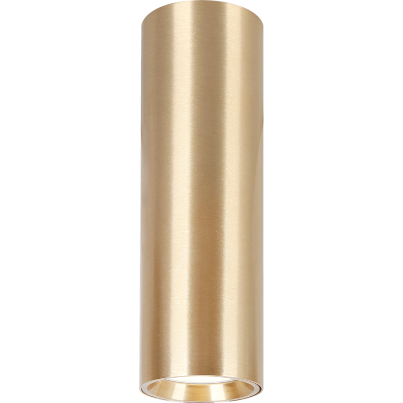 GENESIS SPOT GOLD 1xGU10 20cm