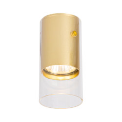 Carcasa Ricky Downlight Dorado 1xGU10