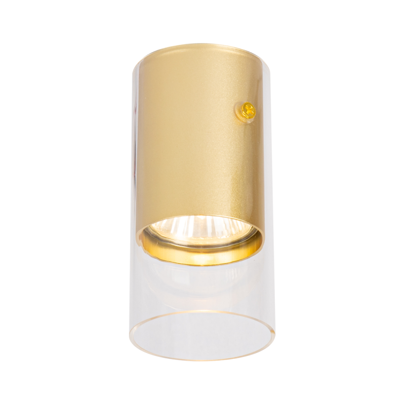 Carcasa Ricky Downlight Dorado 1xGU10
