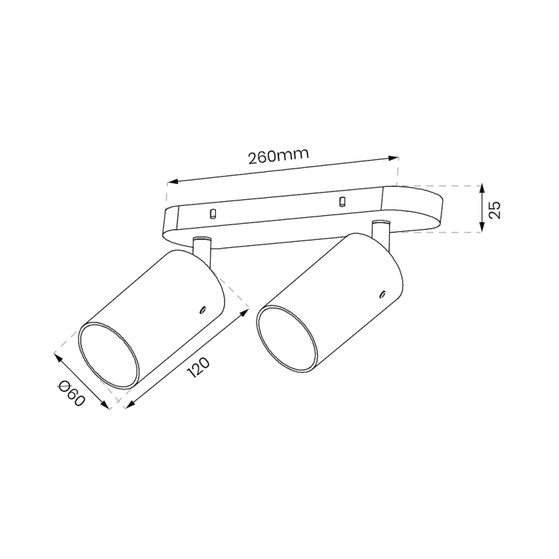 Ricky Spot Gold Fixture 2xGU10