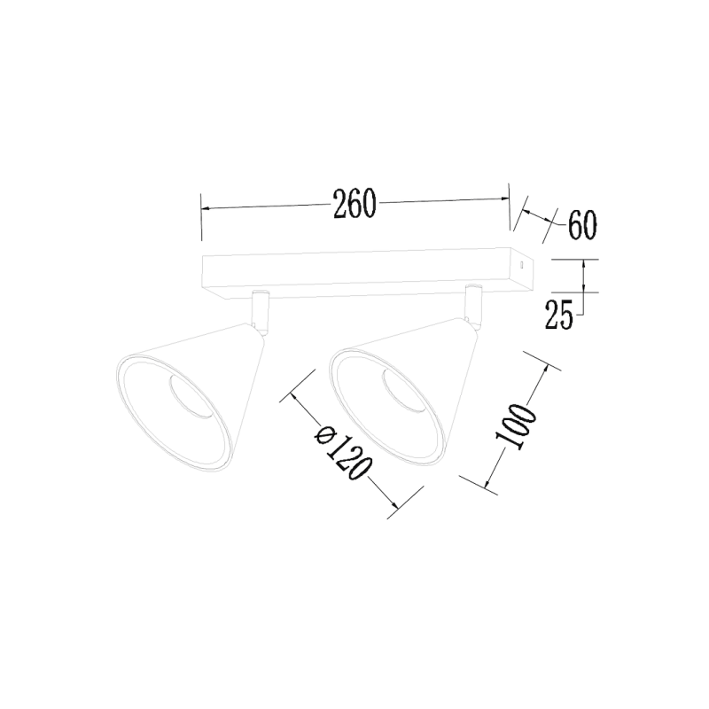 Cone Spot Gold Fixture 2xGU10