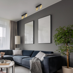 Hero Spot Fixture Gold 2xGU10