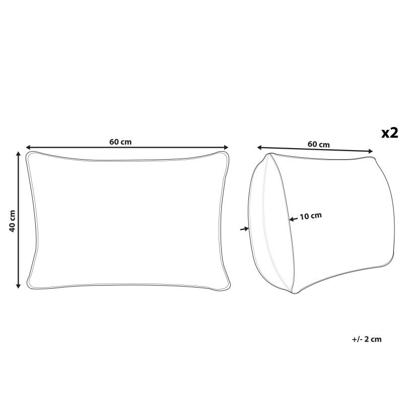 Zestaw 2 poduszek dekoracyjnych DANAPUR Bawełna 40 x 60 cm Kolorowy Wzór geometryczny