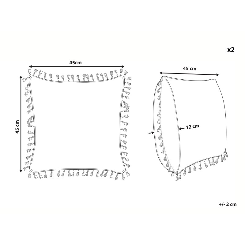 2 poduszki dekoracyjne w ptaki z frędzlami 45 x 45 cm wielokolorowe MALLOW