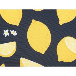 Zestaw 2 poduszek dekoracyjnych CITRUS 45 x 45 cm Czarny Wzór roślinny