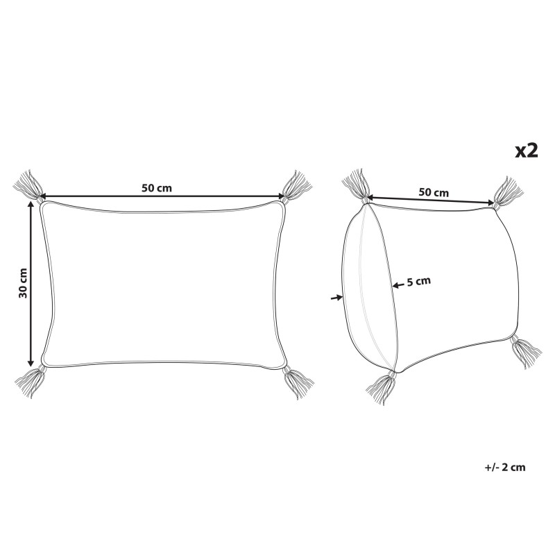Zestaw 2 poduszek dekoracyjnych VALVARIA Bawełna 30 x 50 cm Niebieski Wzór zygzak