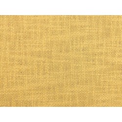 Zestaw 2 poduszek dekoracyjnych LYNCHIS Bawełna 45 x 45 cm Żółty Jednolity