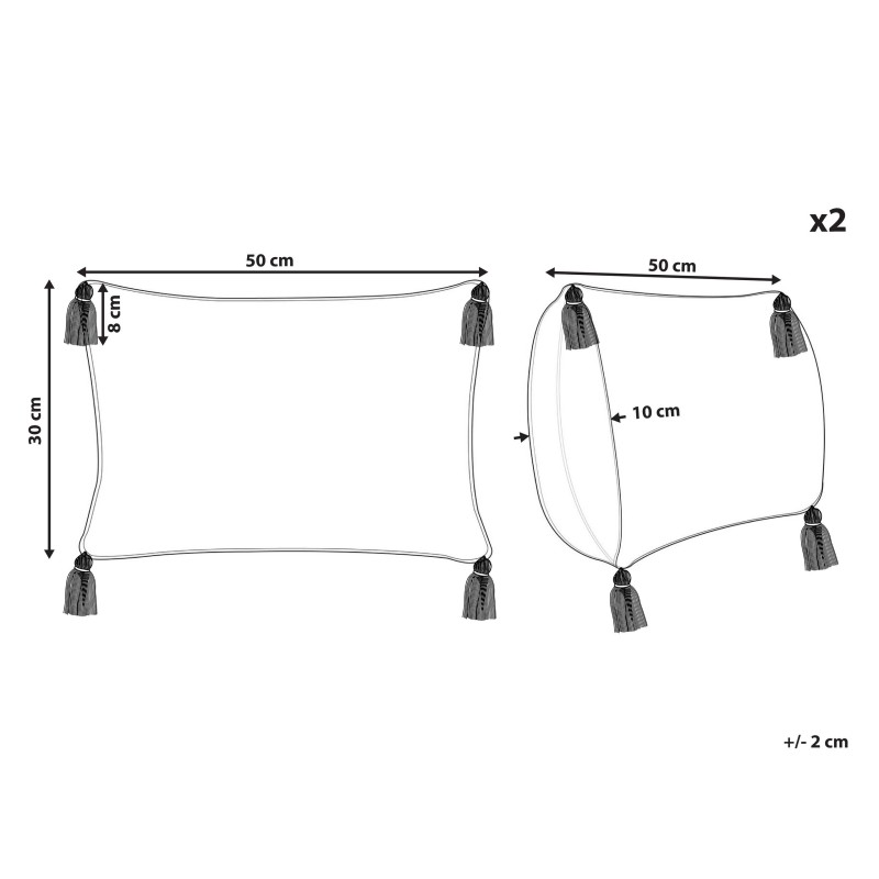 Zestaw 2 poduszek dekoracyjnych ANTHEMIS Bawełna 30 x 50 cm Czerwony Wzór orientalny