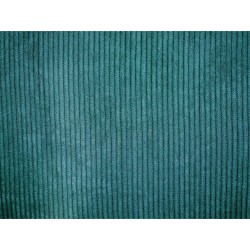 Zestaw 2 poduszek dekoracyjnych ZINNIA Sztruks 47 x 27 cm Lazurowy Jednolity