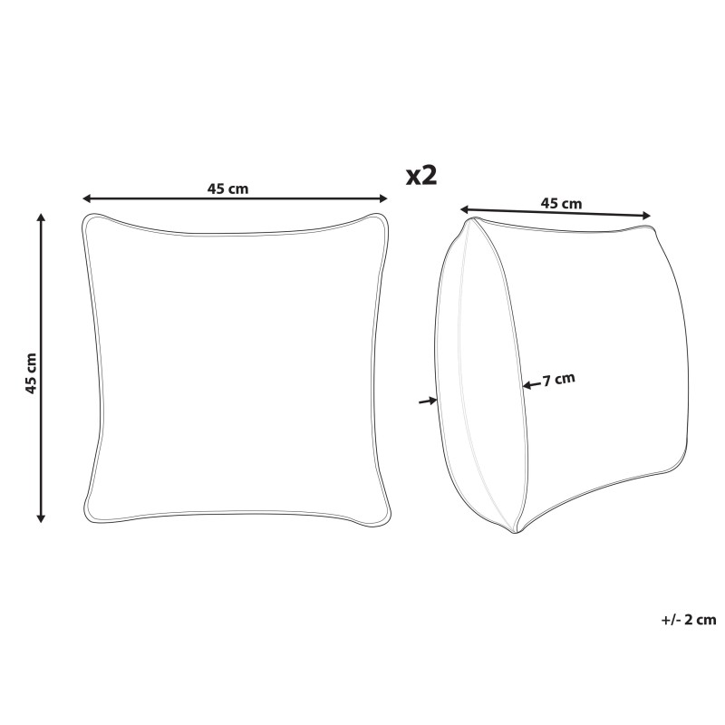 Zestaw 2 poduszek dekoracyjnych GYNURA Bawełna 45 x 45 cm Kolorowy Wzór kwiatowy