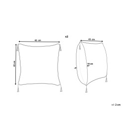 Zestaw 2 poduszek dekoracyjnych DEADNETTLE Bawełna 45 x 45 cm Beżowy Wzór geometryczny