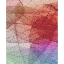 Dywan 140 x 200 cm wielokolorowy ANTAKYA