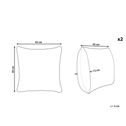 Zestaw 2 poduszek dekoracyjnych CUCURBITA Welur 45 x 45 cm Beżowy Wzór roślinny