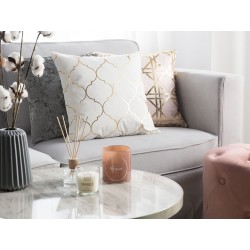 Zestaw 2 poduszek dekoracyjnych ALYSSUM Bawełna 45 x 45 cm Biały Wzór marokańskiej koniczyny