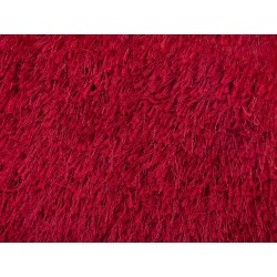 Zestaw 2 poduszek dekoracyjnych CIDE 45 x 45 cm Bordowy Jednolity