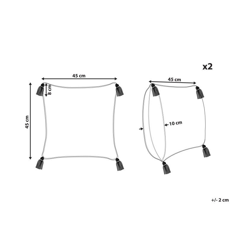 Zestaw 2 poduszek dekoracyjnych ARALIA Bawełna 45 x 45 cm Beżowy Wzór geometryczny