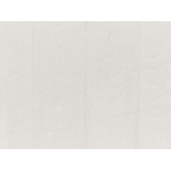 Zestaw 2 poduszek dekoracyjnych PUMILA Sztuczne futro 45 x 45 cm Biały Jednolity