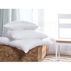 Zestaw 2 poduszek ERRIGAL Niska Mikrofibra 80 x 80 cm Biały