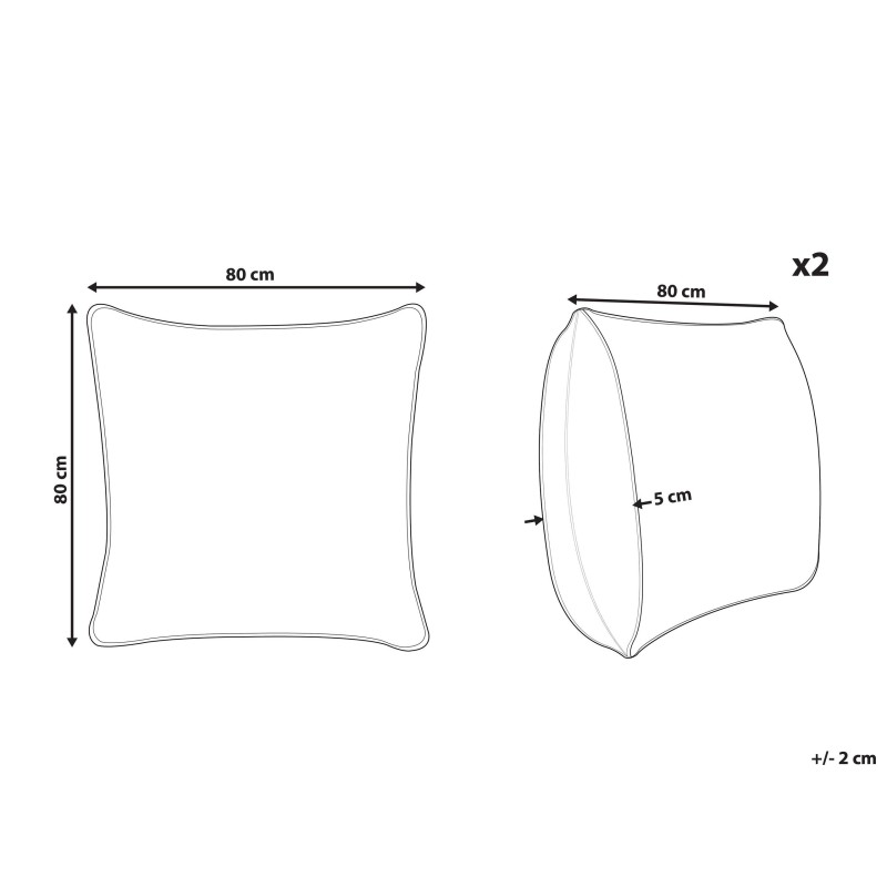 Zestaw 2 poduszek ERRIGAL Niska Mikrofibra 80 x 80 cm Biały